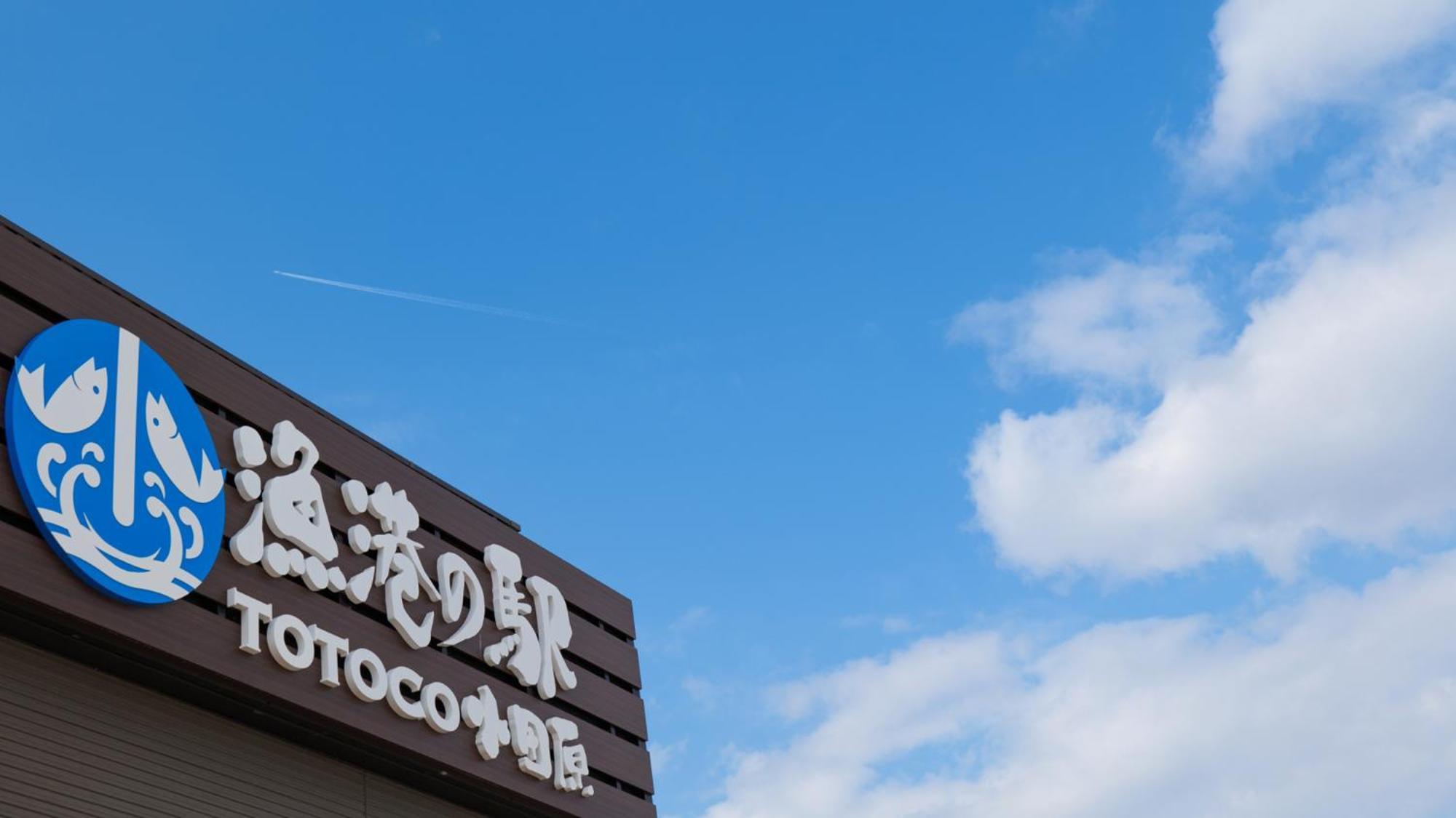 Toyoko Inn Odawara Eki Higashi Guchi Exteriér fotografie
